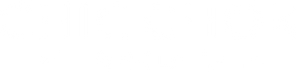 CHIC CHOK logo