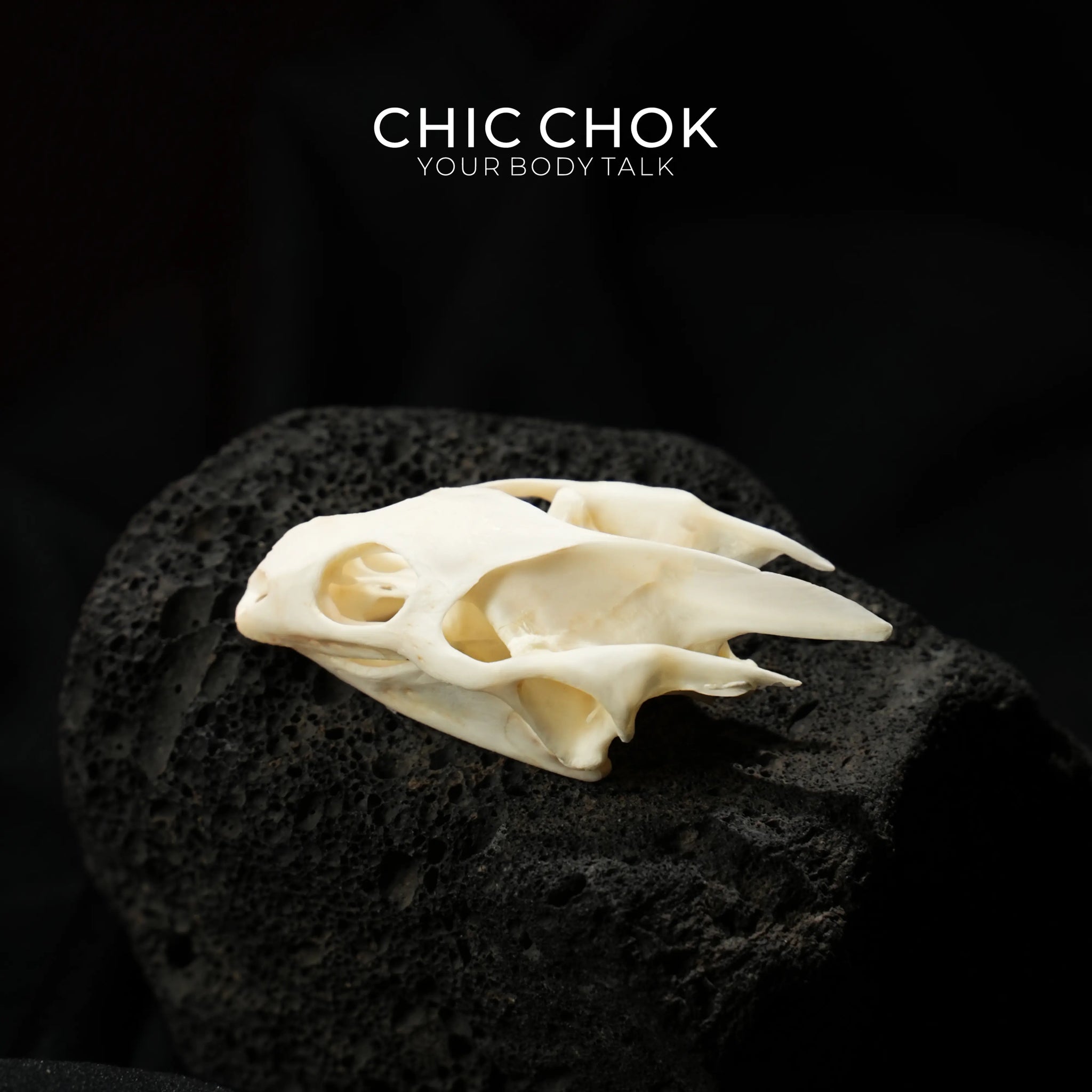 CHIC CHOK Bone Serpent Embracing Sapphire Star
