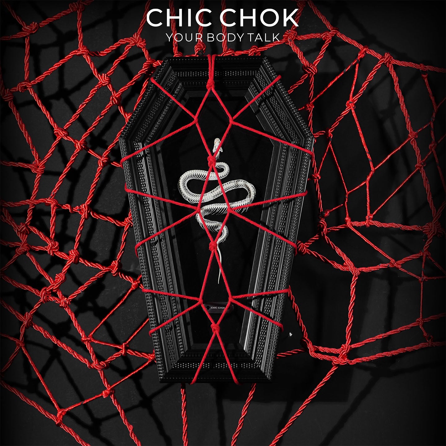 CHICCHOK Coffin Serpent | Real Snake Skeleton Shibari Art Frame | Hexagon Gothic Wall Totem