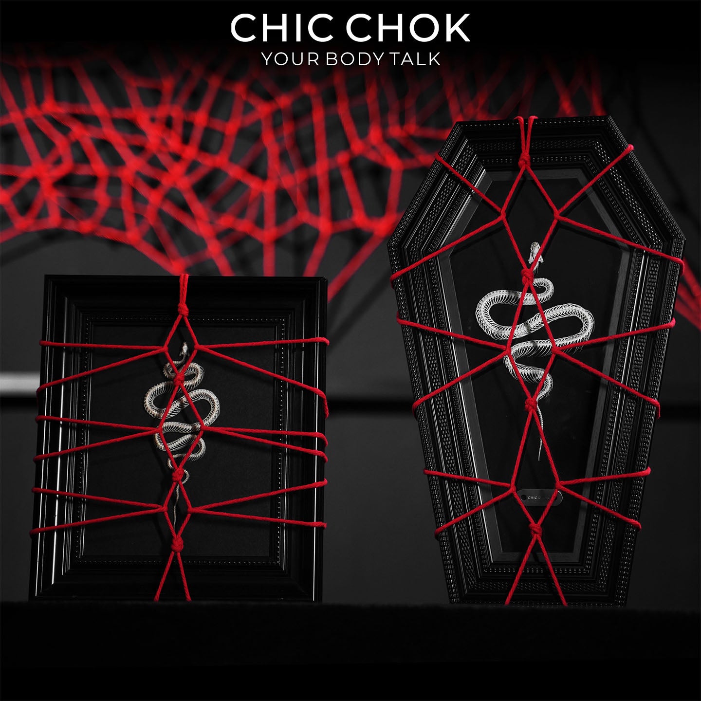 CHICCHOK Coffin Serpent | Real Snake Skeleton Shibari Art Frame | Hexagon Gothic Wall Totem