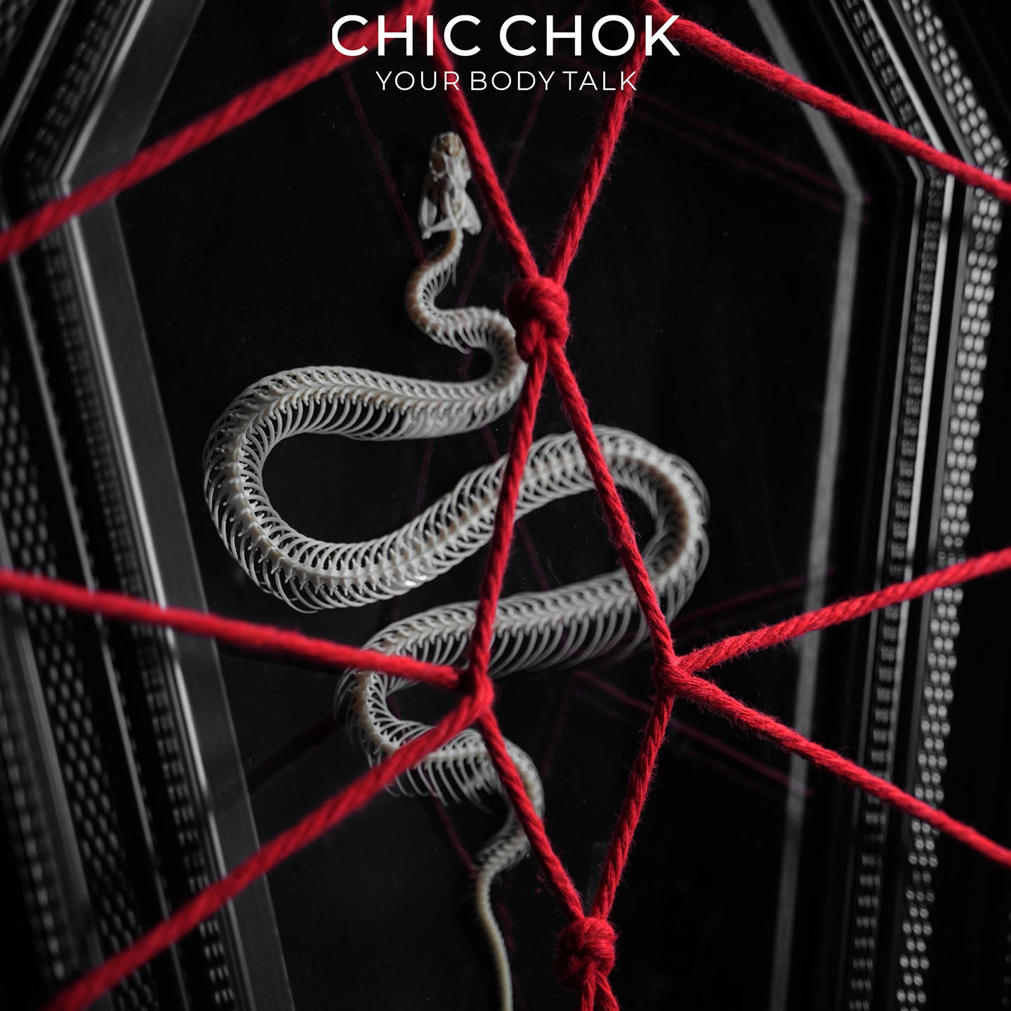 CHICCHOK Coffin Serpent | Real Snake Skeleton Shibari Art Frame | Hexagon Gothic Wall Totem