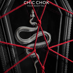 CHICCHOK Coffin Serpent | Real Snake Skeleton Shibari Art Frame | Hexagon Gothic Wall Totem
