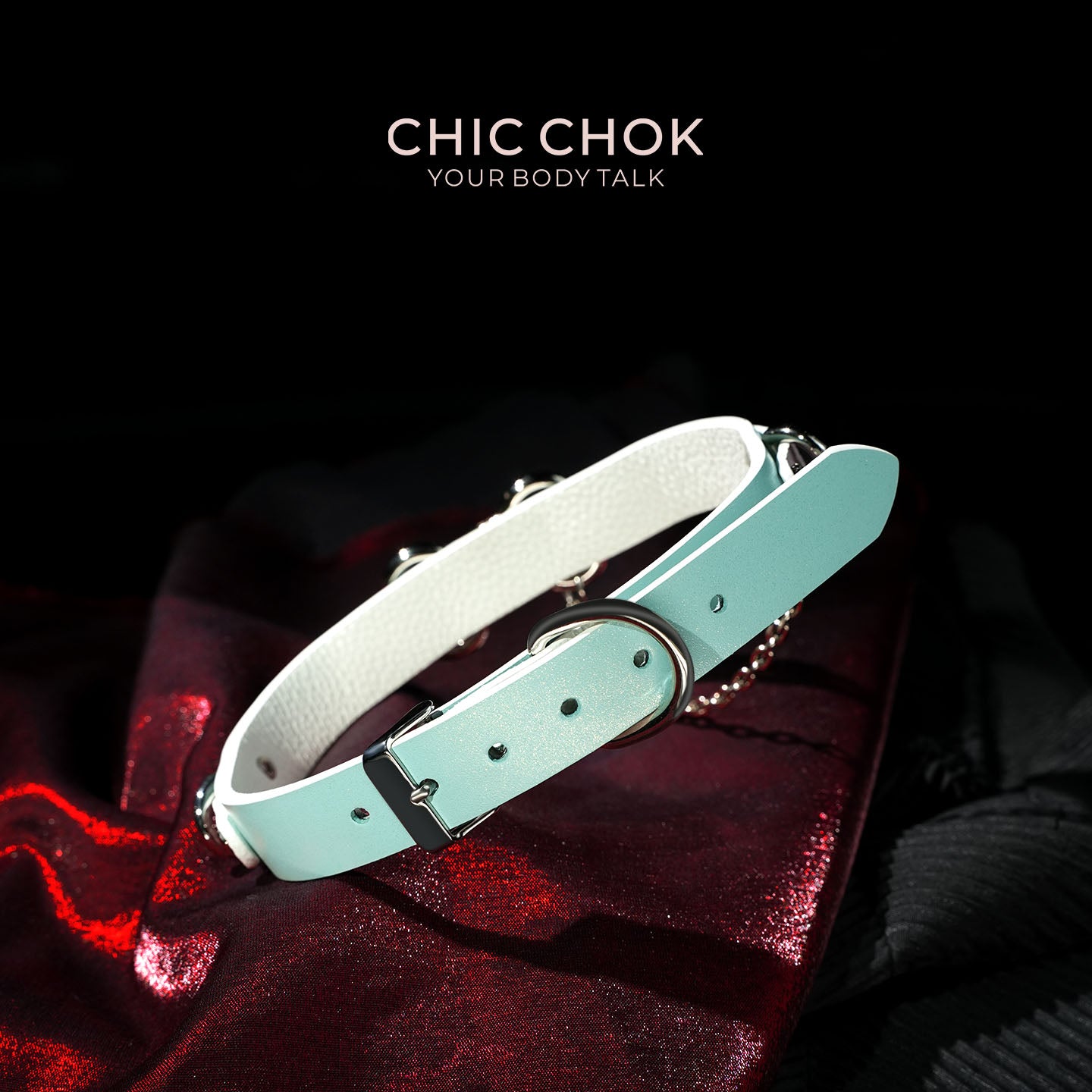 Cotton Candy Puppy - Pastel Blue & Pink Bone Choker