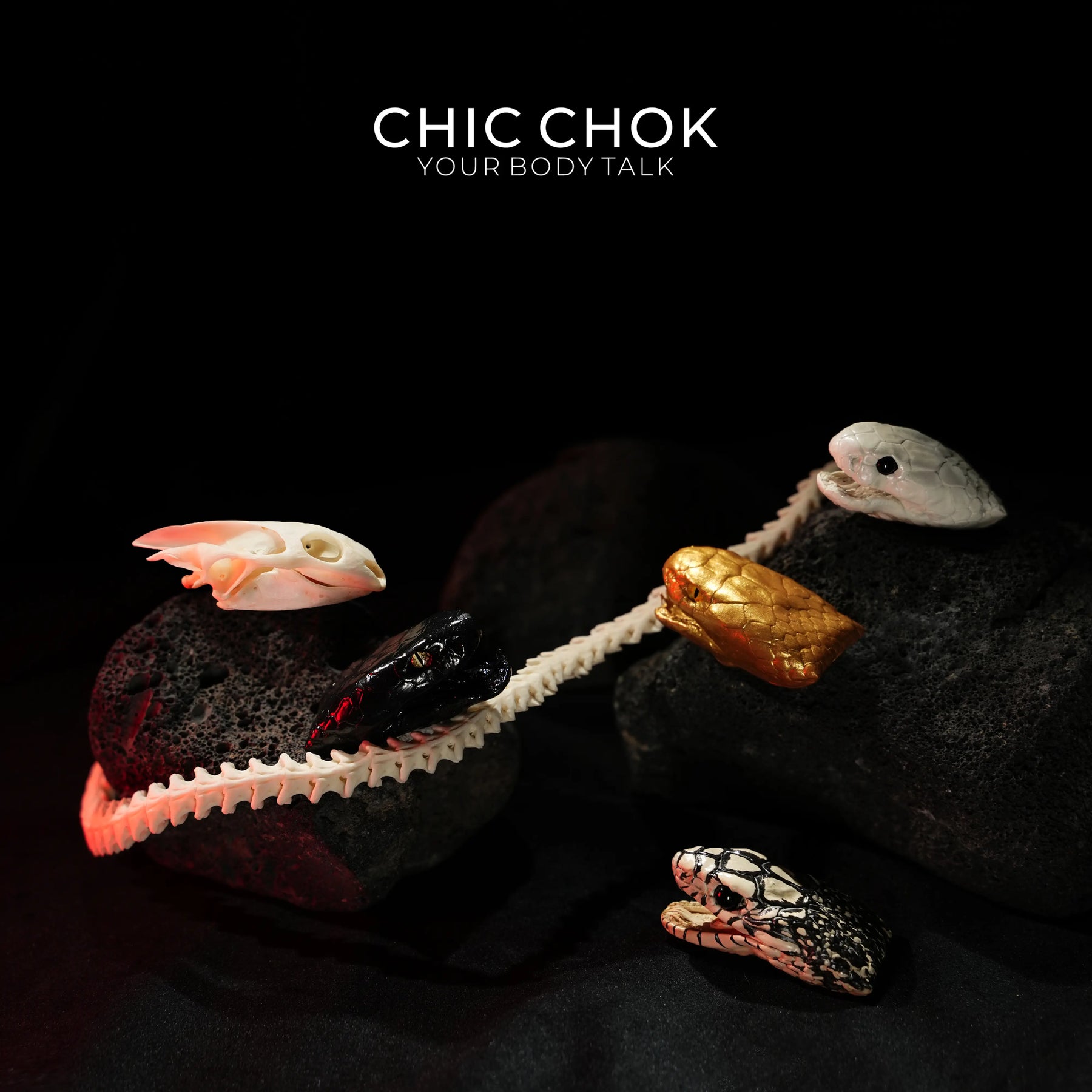 Snake Bone Accessories
