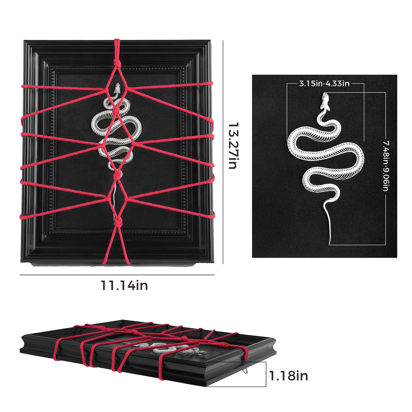 CHICCHOK Ritual da Serpente | Quadro de Arte Shibari com Esqueleto Real de Serpente | Decoração de Parede Gótica de Estética Sombria