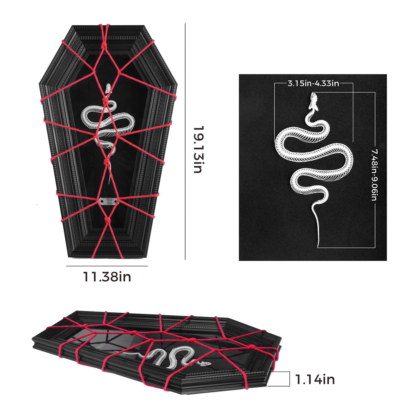 CHICCHOK Coffin Serpent | Real Snake Skeleton Shibari Art Frame | Hexagon Gothic Wall Totem