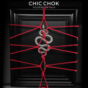 CHICCHOK Serpent Ritual | Marco artístico shibari con esqueleto real de serpiente | Decoración mural de estética gótica oscura