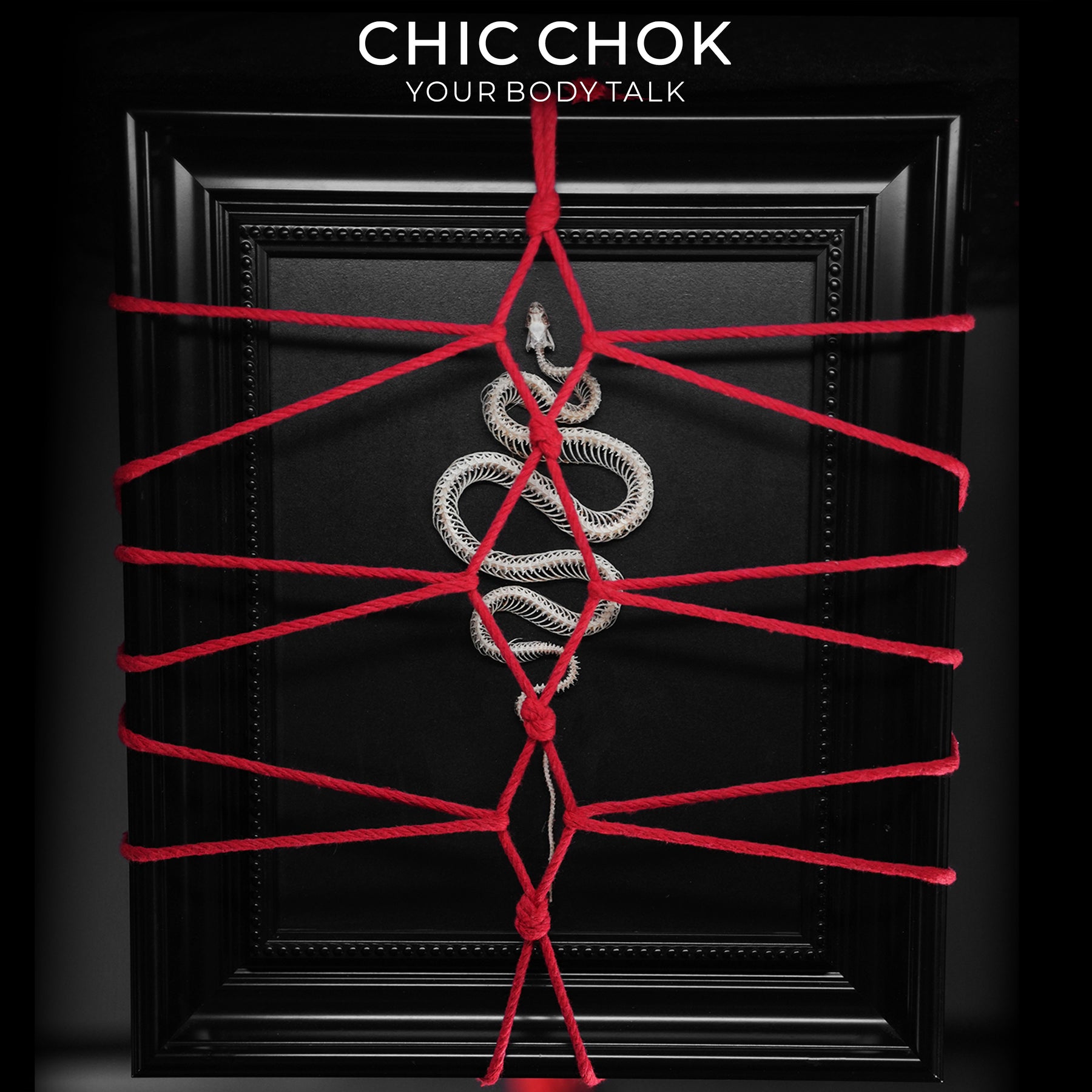 CHICCHOK Ritual da Serpente | Quadro de Arte Shibari com Esqueleto Real de Serpente | Decoração de Parede Gótica de Estética Sombria