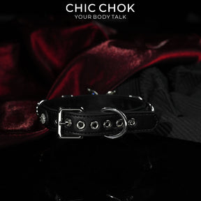 The Butterfly’s Nocturne