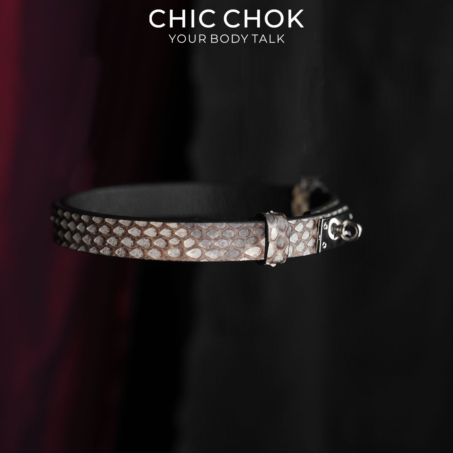 CHICCHOK Minimalist Python Skin Choker | Luxury Exotic Snake Pattern Genuine Leather Collar | Gothic Quiet Luxury Silver Kelly Lock Jewelry