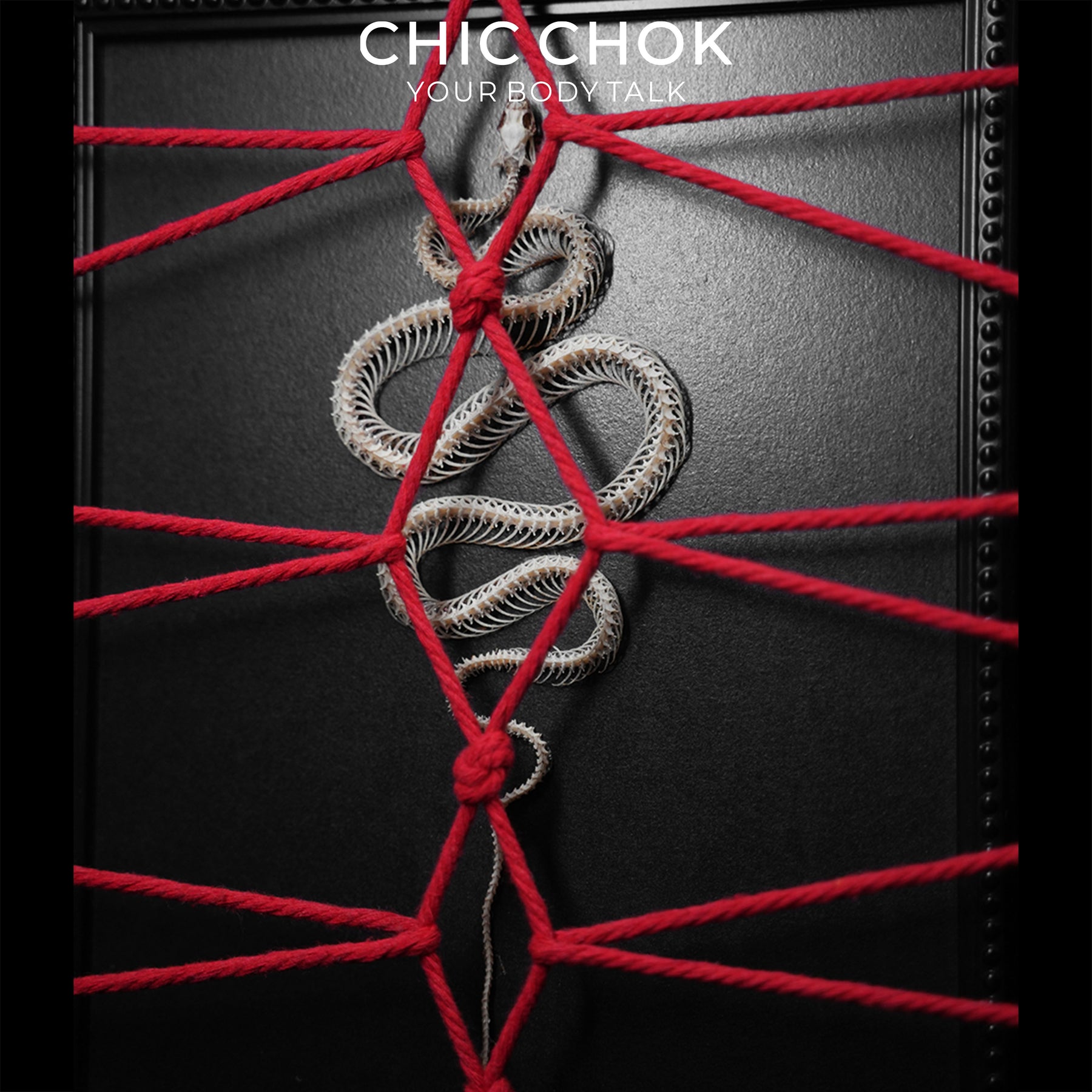 CHICCHOK Ritual da Serpente | Quadro de Arte Shibari com Esqueleto Real de Serpente | Decoração de Parede Gótica de Estética Sombria
