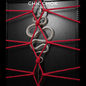 CHICCHOK Ritual da Serpente | Quadro de Arte Shibari com Esqueleto Real de Serpente | Decoração de Parede Gótica de Estética Sombria