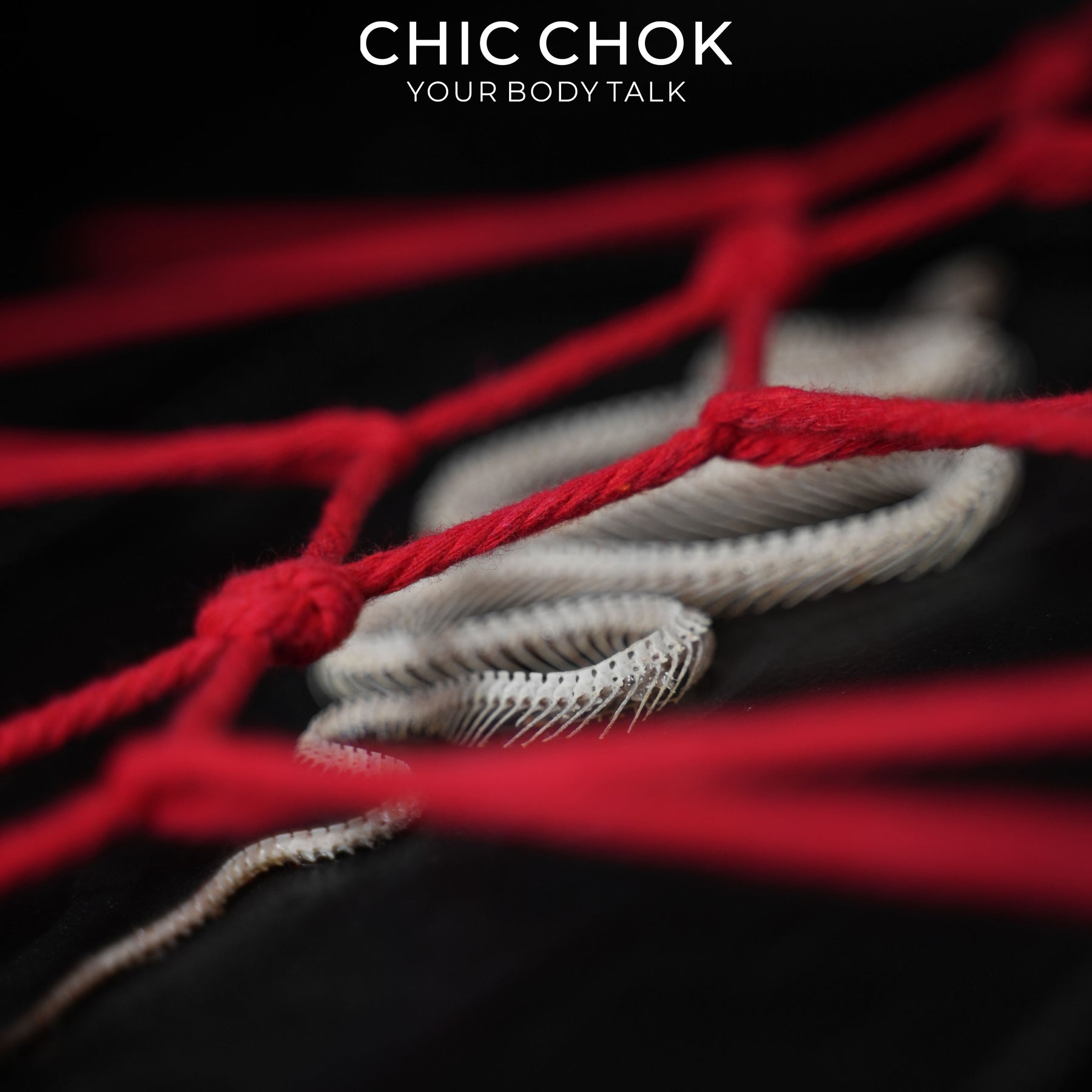 CHICCHOK Ritual da Serpente | Quadro de Arte Shibari com Esqueleto Real de Serpente | Decoração de Parede Gótica de Estética Sombria