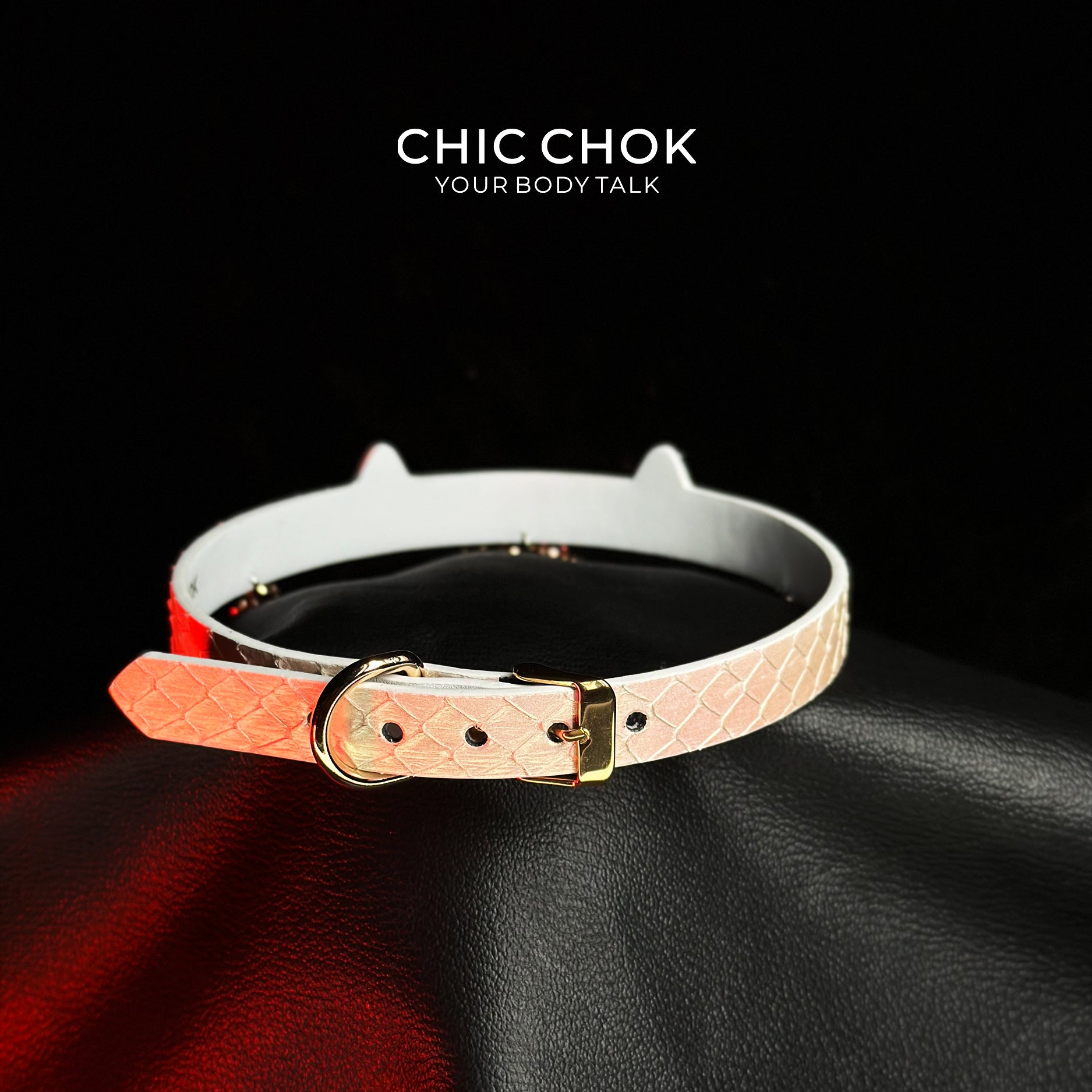 Buster's Tears Morning · Star