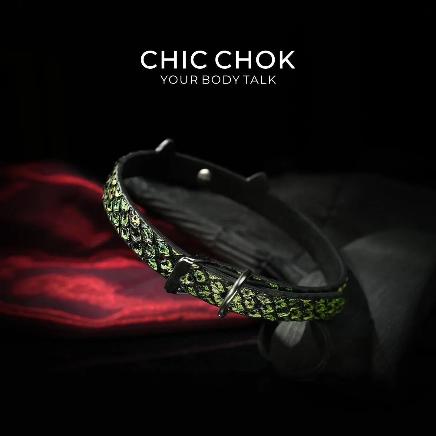 CHIC CHOK The Serpent’s Gaze - CHICCHOK - Choker
