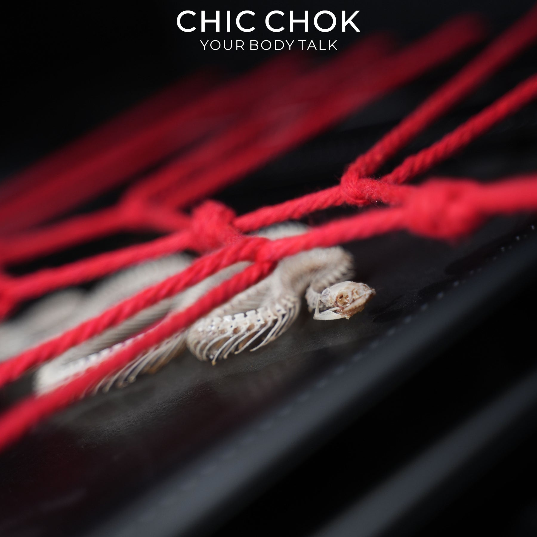 CHICCHOK Ritual da Serpente | Quadro de Arte Shibari com Esqueleto Real de Serpente | Decoração de Parede Gótica de Estética Sombria