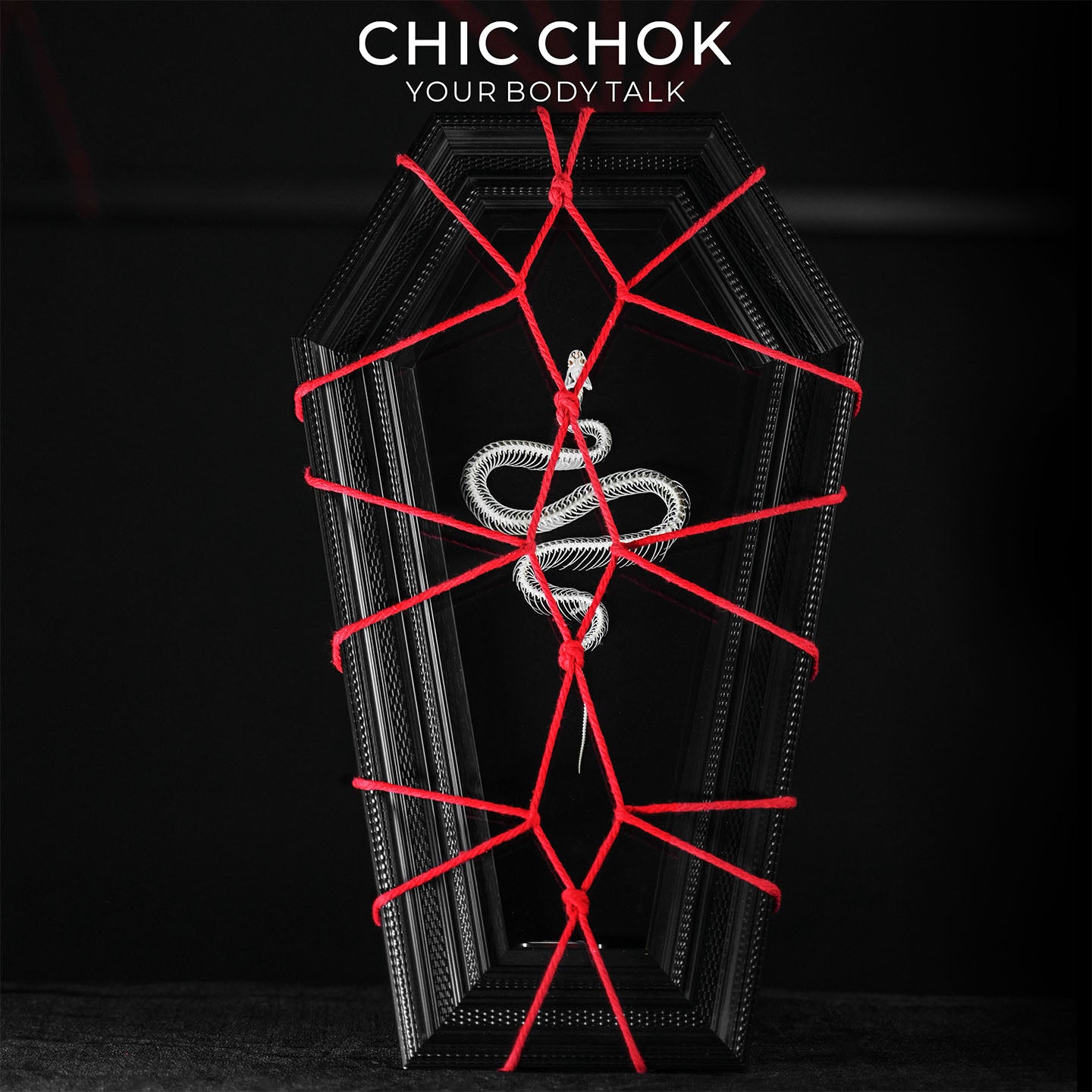 CHICCHOK Coffin Serpent | Real Snake Skeleton Shibari Art Frame | Hexagon Gothic Wall Totem