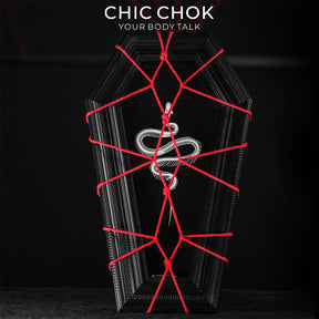 CHICCHOK Coffin Serpent | Real Snake Skeleton Shibari Art Frame | Hexagon Gothic Wall Totem