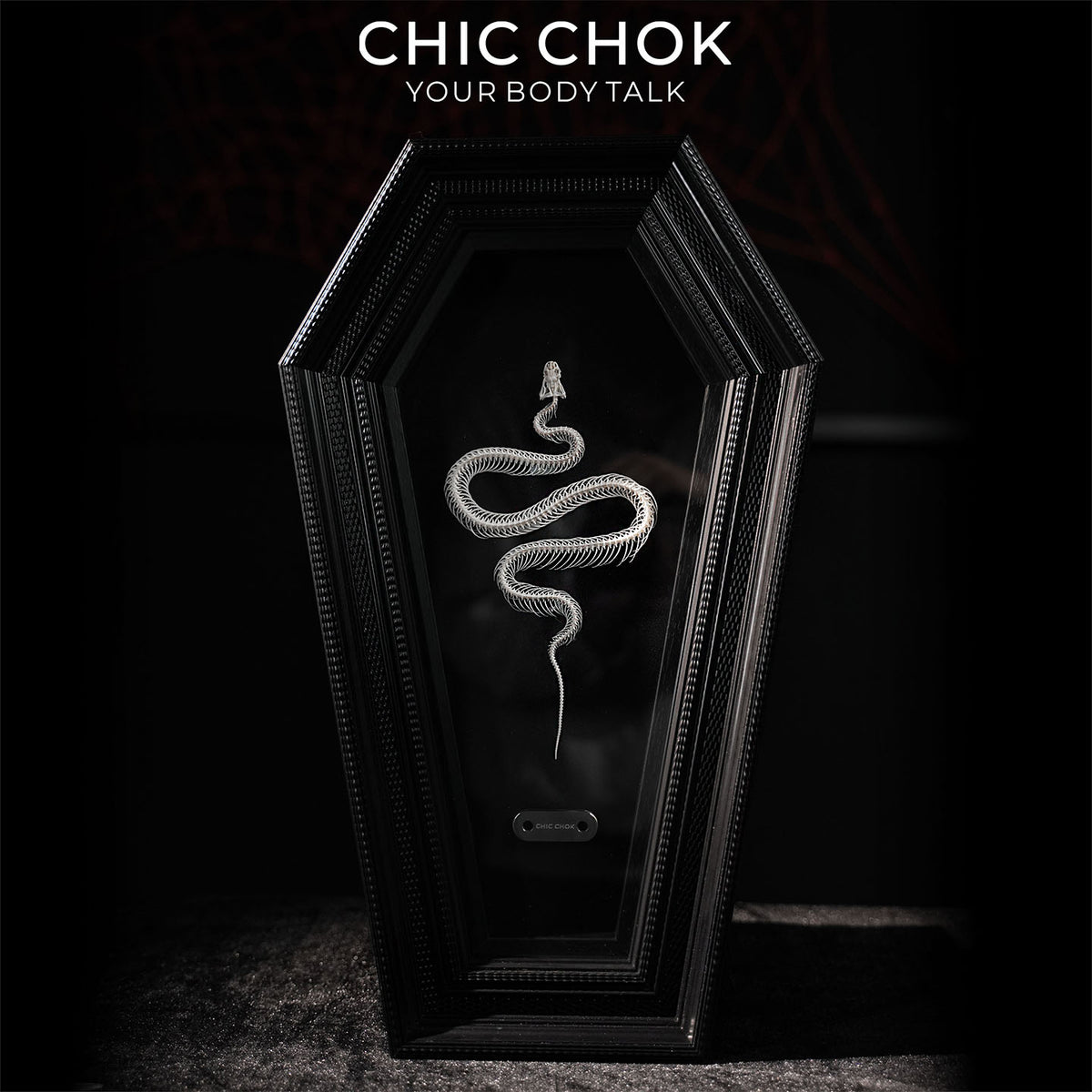 CHICCHOK Coffin Serpent | Real Snake Skeleton Shibari Art Frame | Hexagon Gothic Wall Totem
