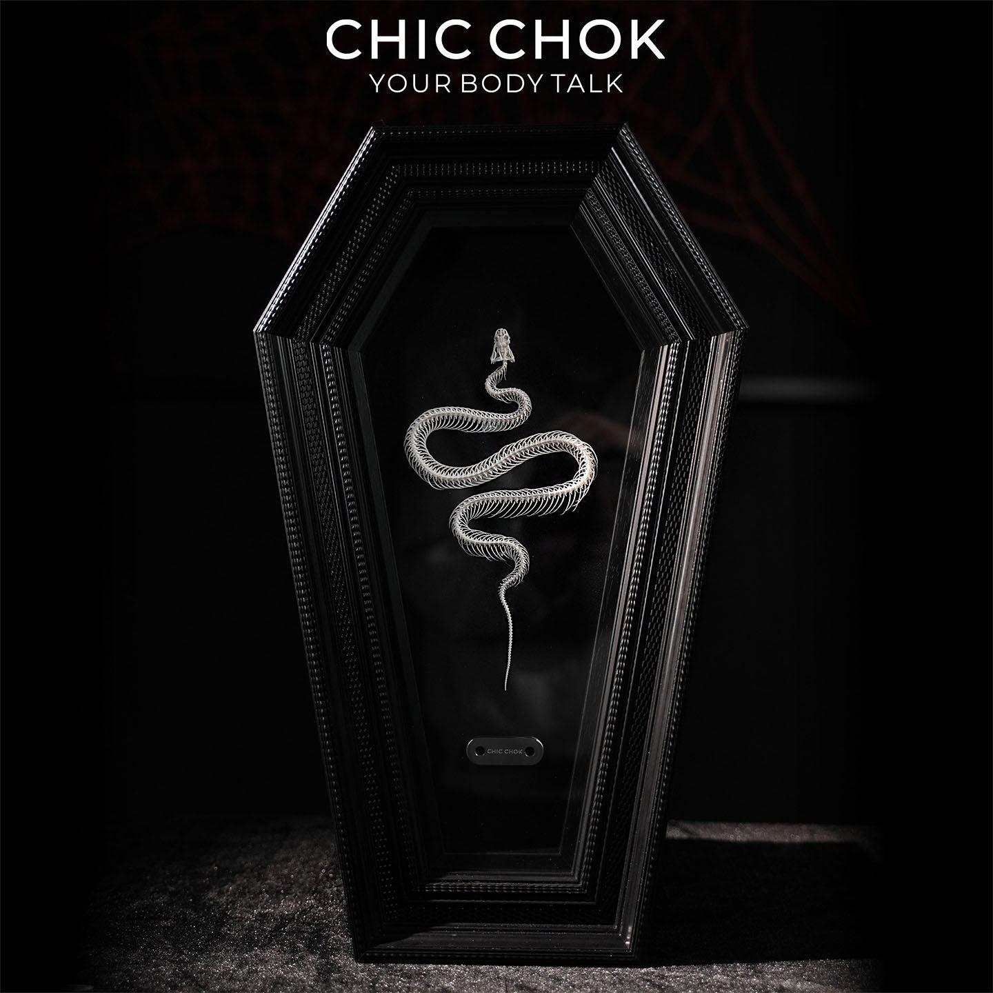 CHICCHOK Coffin Serpent | Real Snake Skeleton Shibari Art Frame | Hexagon Gothic Wall Totem
