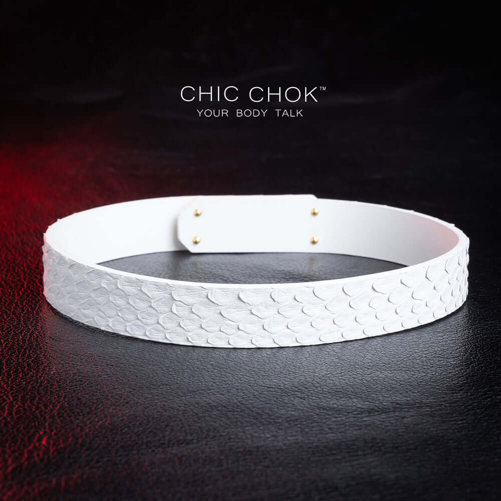 chicchok athena white python hide collar sea shell buckle pure clean elegant design