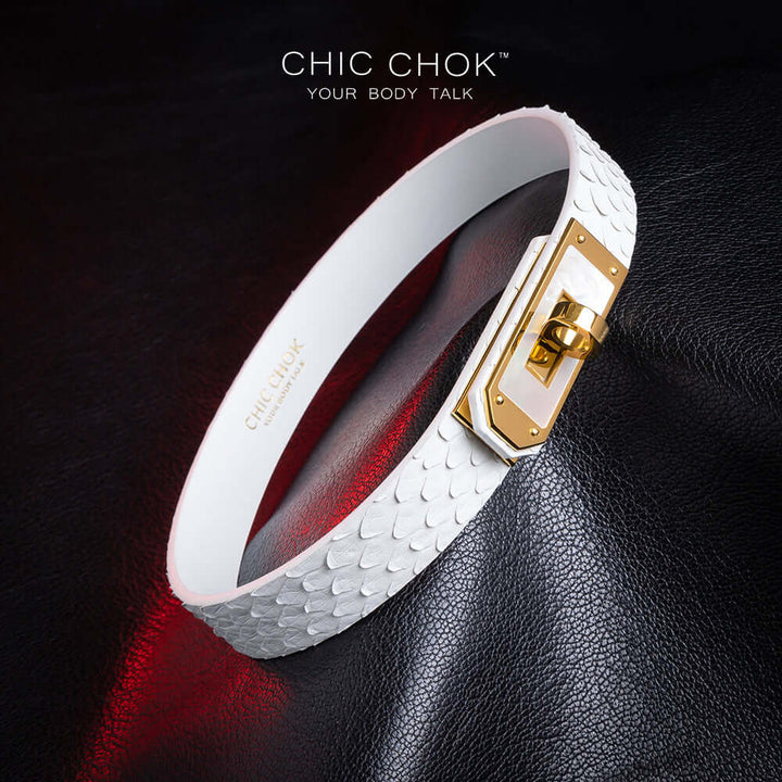 chicchok athena white python hide collar sea shell buckle pure clean elegant design