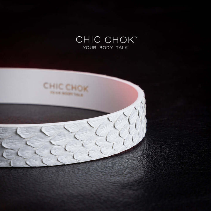 chicchok athena white python hide collar sea shell buckle pure clean elegant design