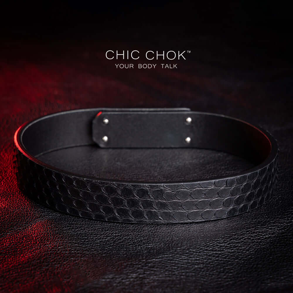 chicchok, black collar, white lock, python leather details for a luxurious style.