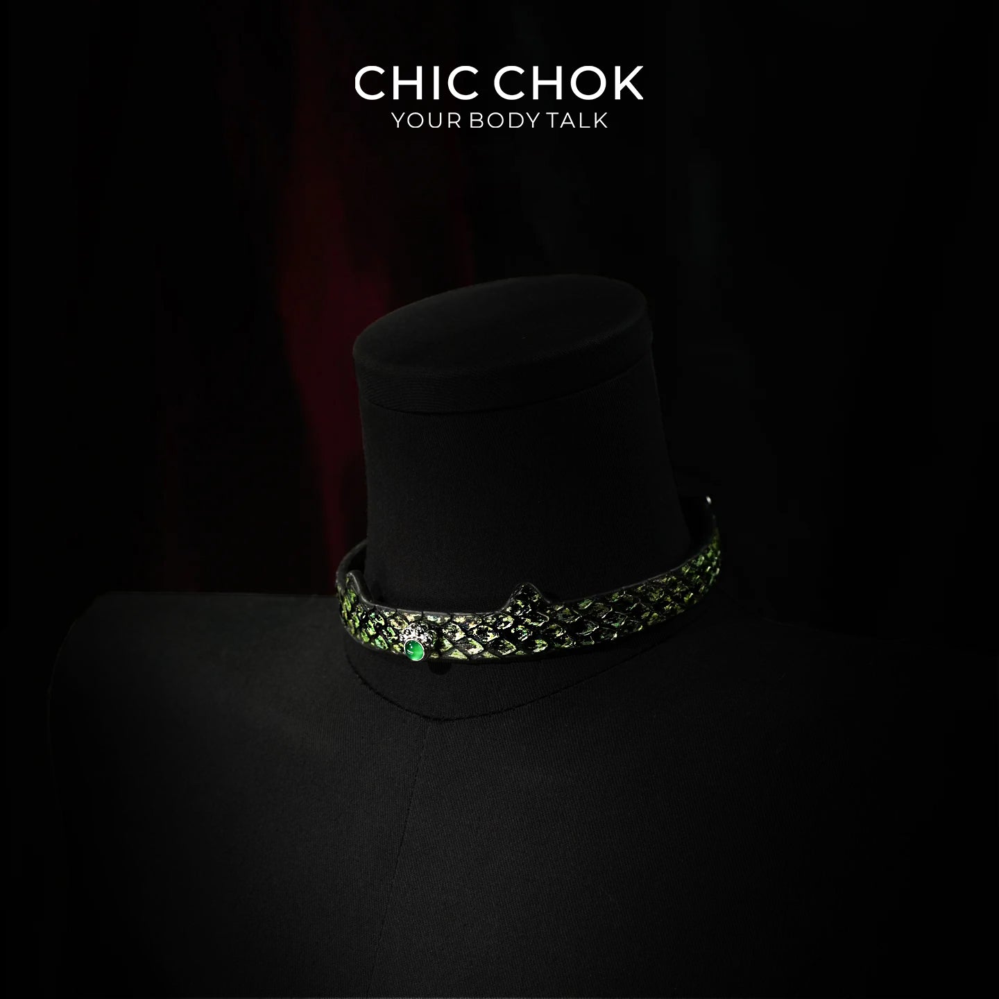 CHIC CHOK The Serpent’s Gaze