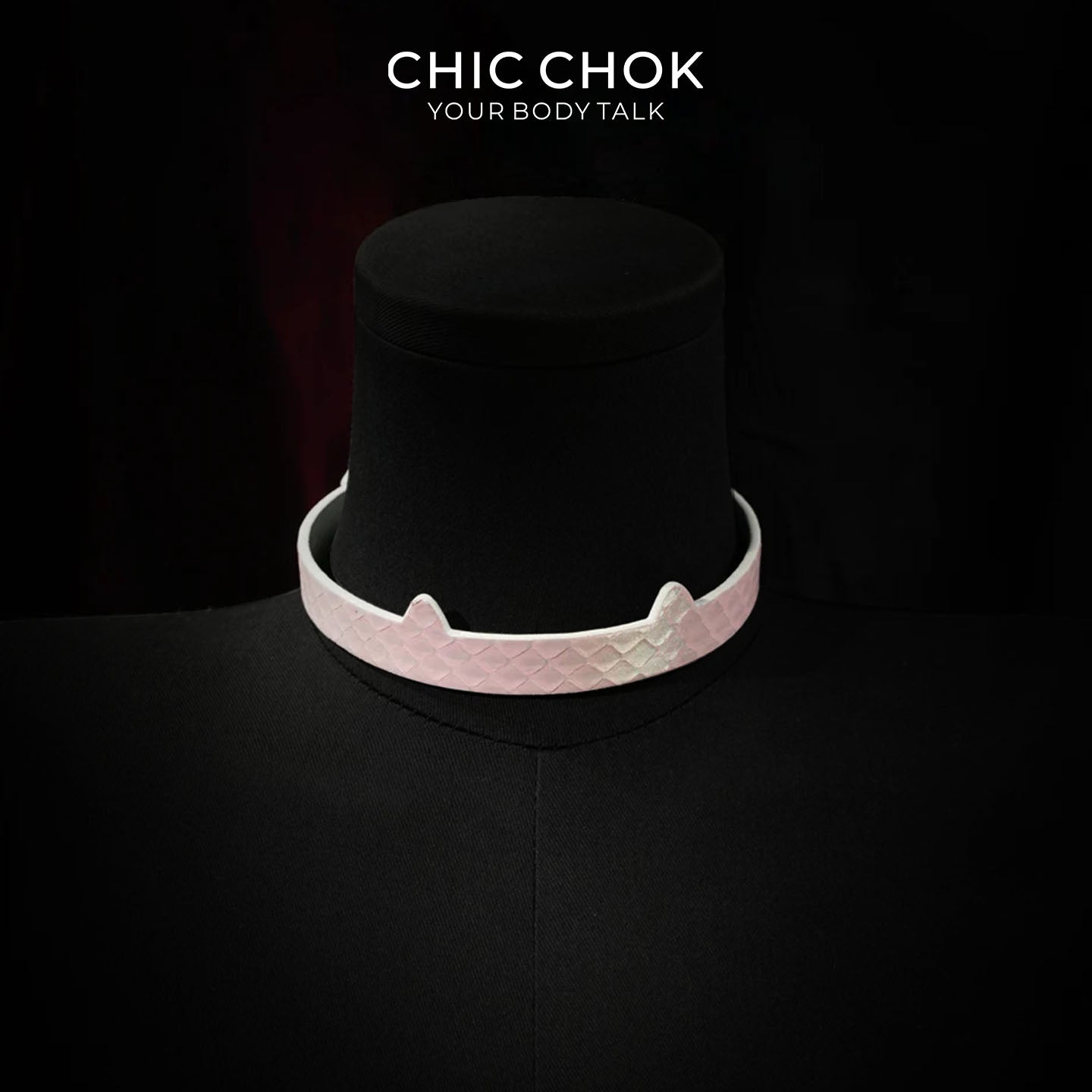 CHIC CHOK The Serpent’s Gaze