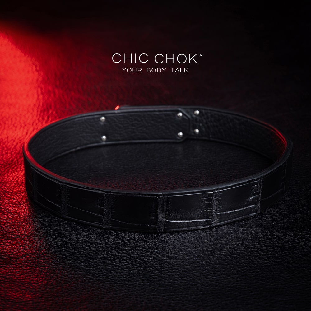 chiccok Stan's Dream Collar Elegant black crocodile leather choker featuring a sleek silver metallic clasp, showcasing premium craftsmanship, rich textures