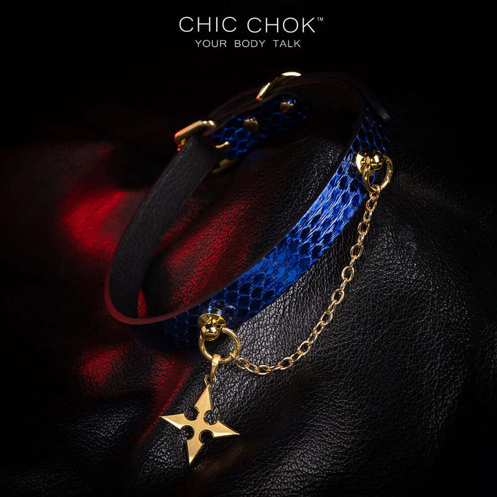 Blue original design collar, role play, star logo