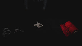 CHICCHOK Coffin Serpent | Real Snake Skeleton Shibari Art Frame | Hexagon Gothic Wall Totem